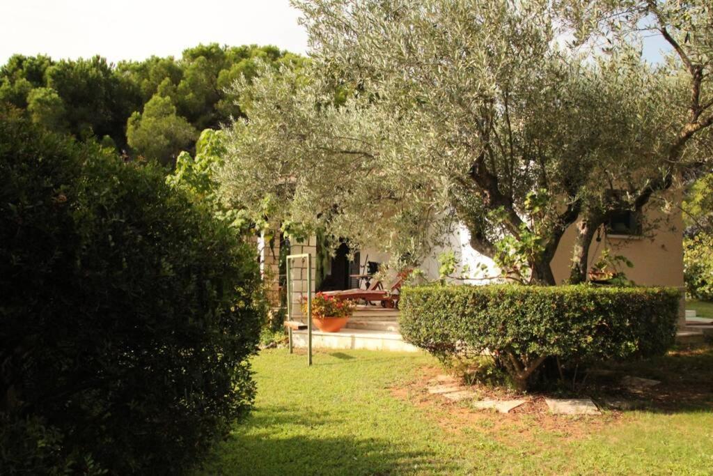 Villa Di Campagna Vicino Al Mare Orosei Exterior foto